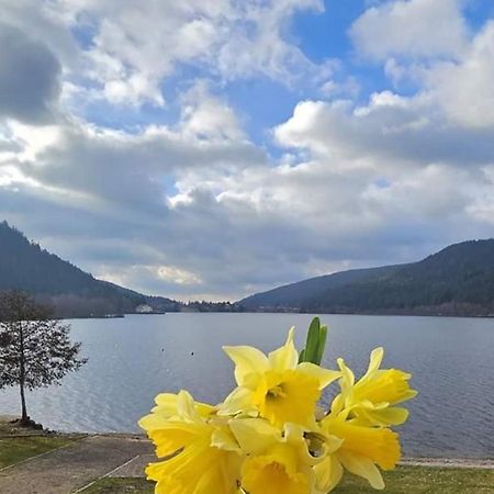 Les Yeux Du Lac Gerardmer Luaran gambar
