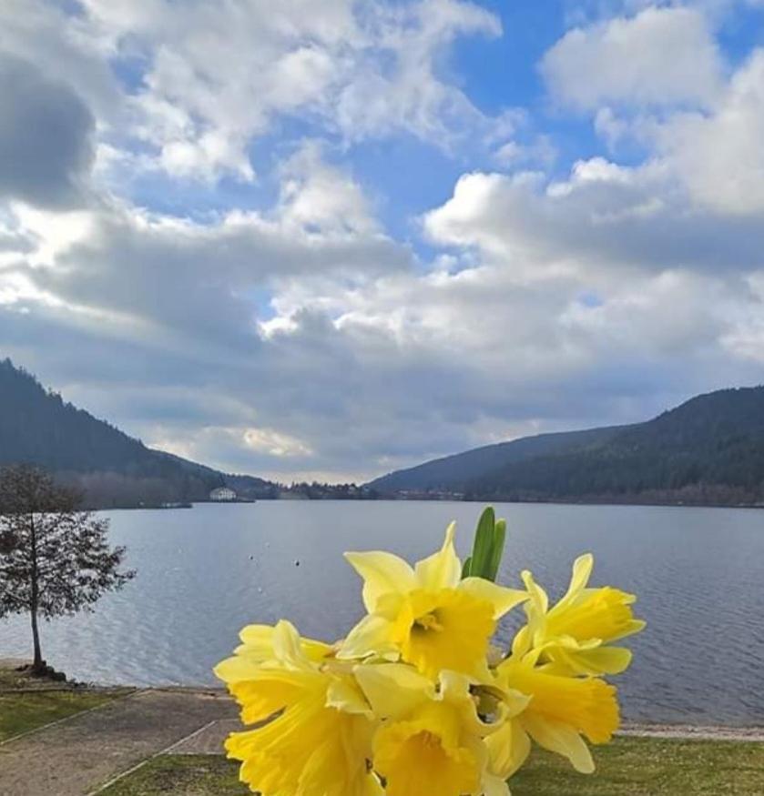 Les Yeux Du Lac Gerardmer Luaran gambar